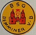 Demminer Verkehrsbetriebe